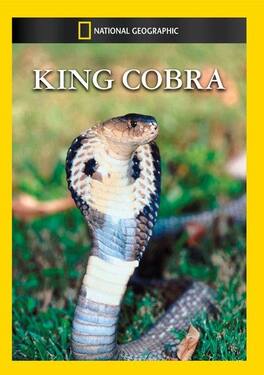 King Cobra - DVD