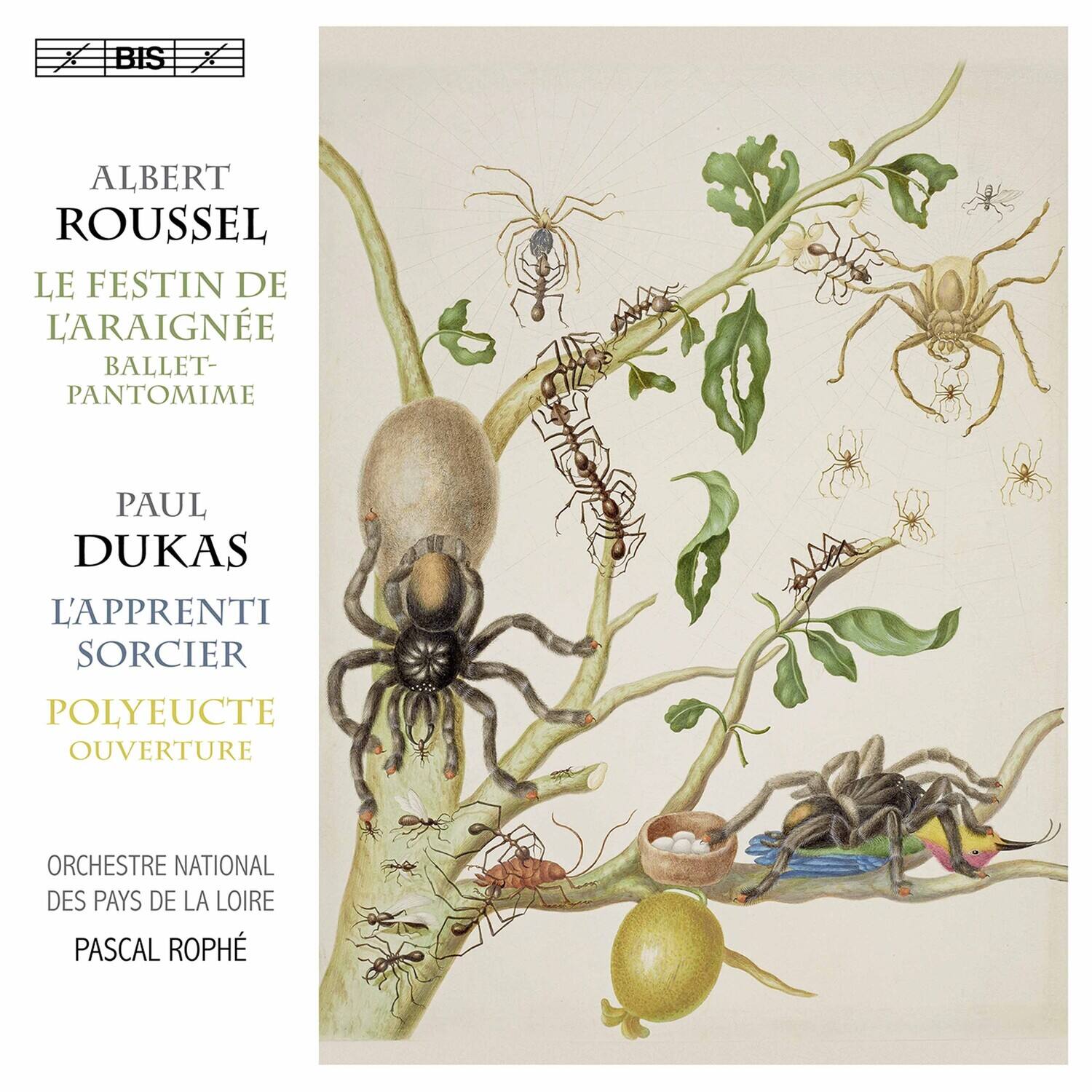 ALBERT ROUSSEL
LE FESTIN DE L'ARAIGNEE
BALLET-PANTOMIME
PAUL DUKAS
L'APPRENTI SORCIER
POLYEUCTE OUVERTURE
ORCHESTRE NATIONAL DES PAYS DE LA LOIRE
PASCAL ROPHE