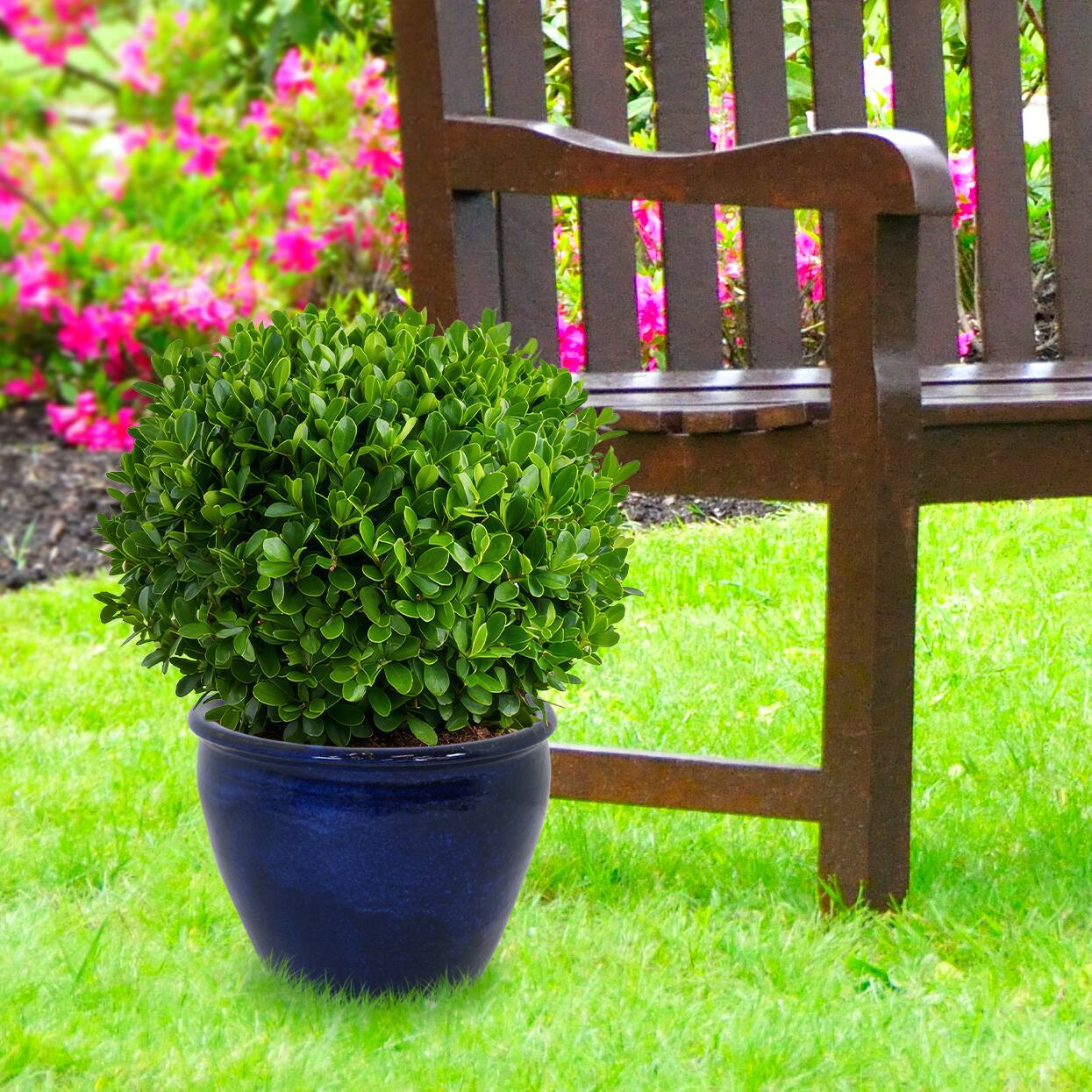 Alt View 8. Sunnydaze - 14.5 in Chalet High-Fired Glazed Ceramic Planter - Imperial Blue.