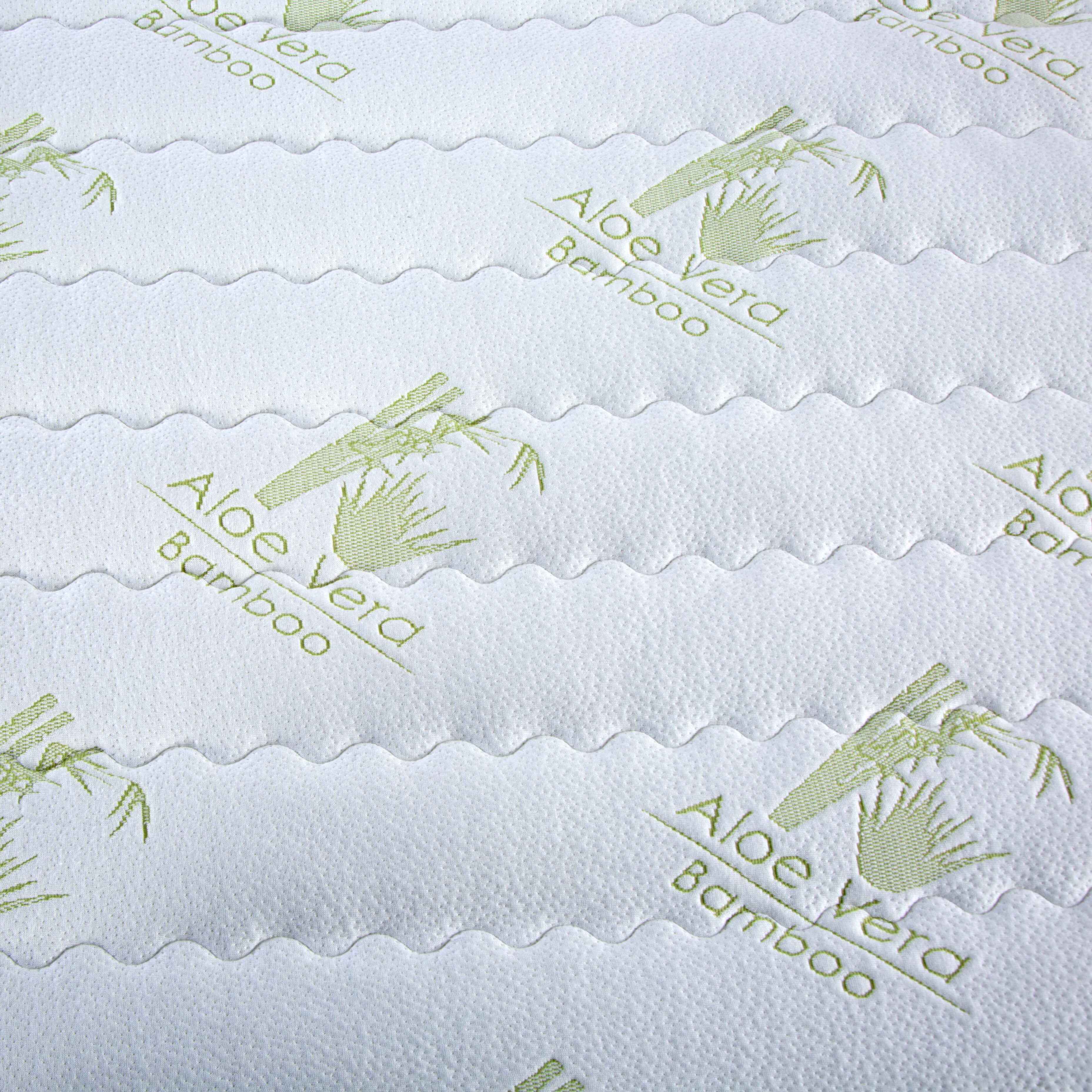 The text on the image is "Aloe Vera Bamboo."