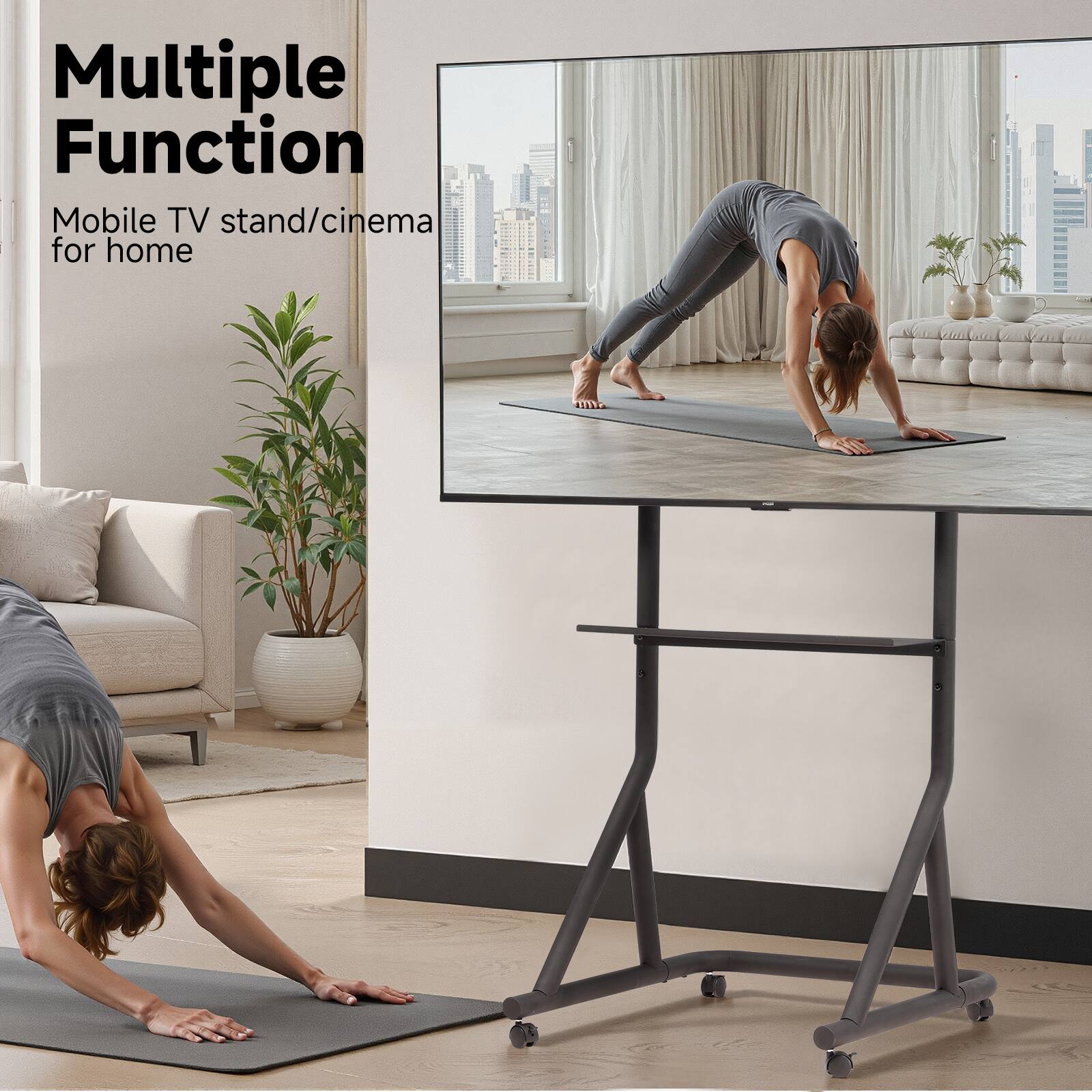 Multiple Function  
Mobile TV stand/cinema for home