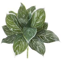 BreeBe - 21" Silver Aglonema Artificial Plant (Real Touch) (Set of 6) - Green