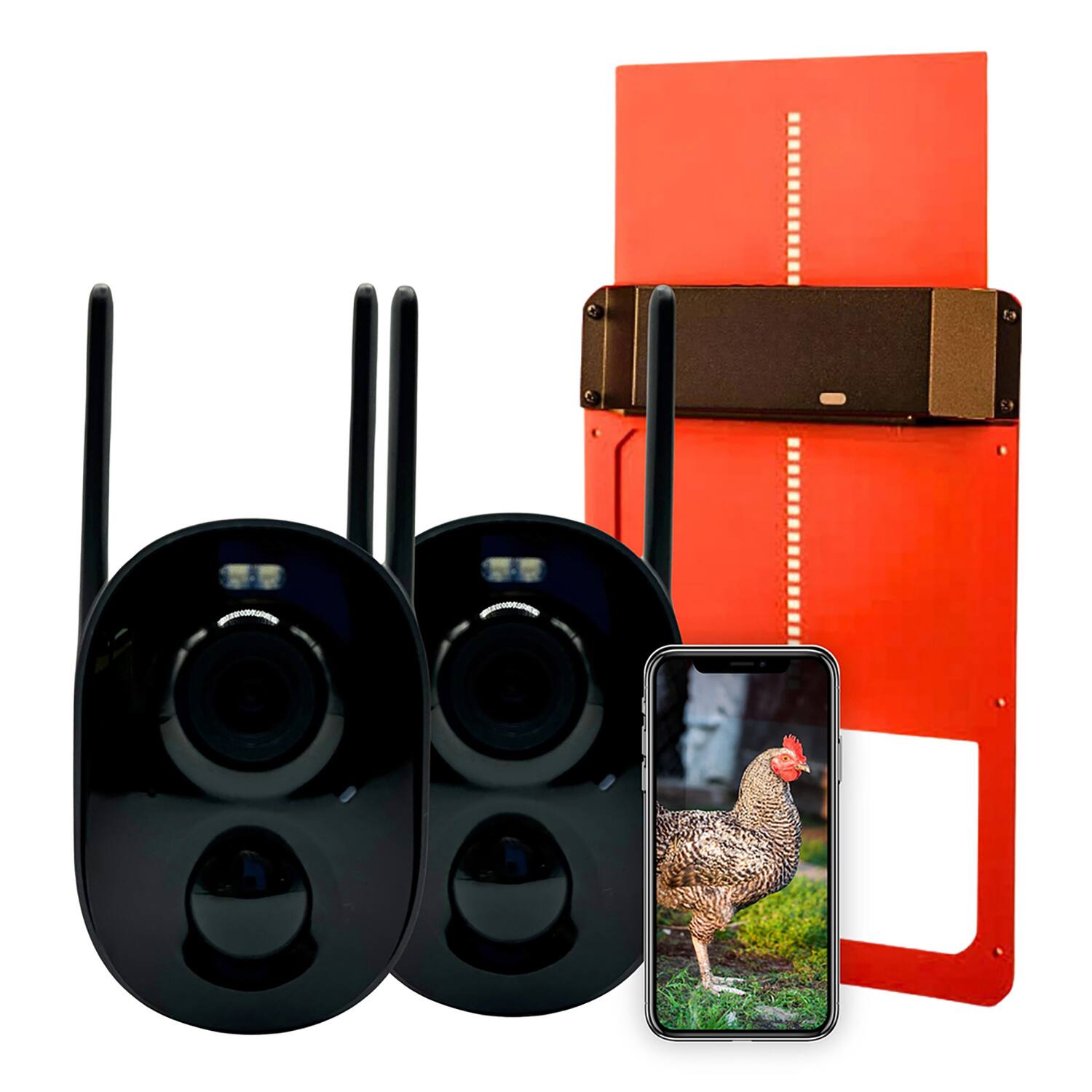 Angle. Coop - AI-Powered Smart Coop Kit, Two 1080p Smart Wi-Fi CoopCams, Automatic Door - Dark Gray/Coral.