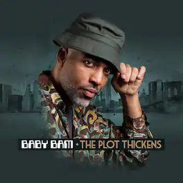 Baby Bam - The Plot Thickens - VINYL LP