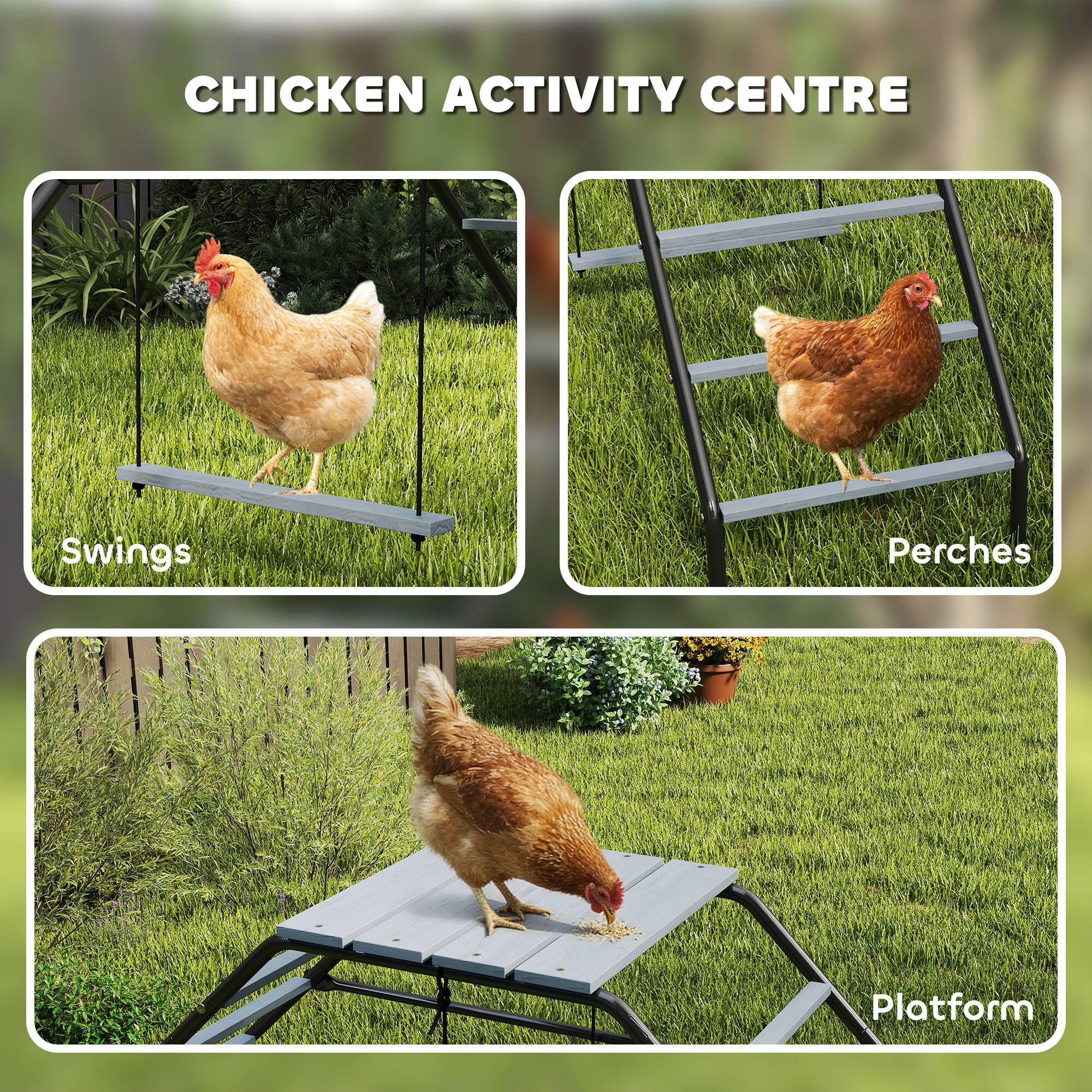 CHICKEN ACTIVITY CENTRE

- Swings
- Perches
- Platform