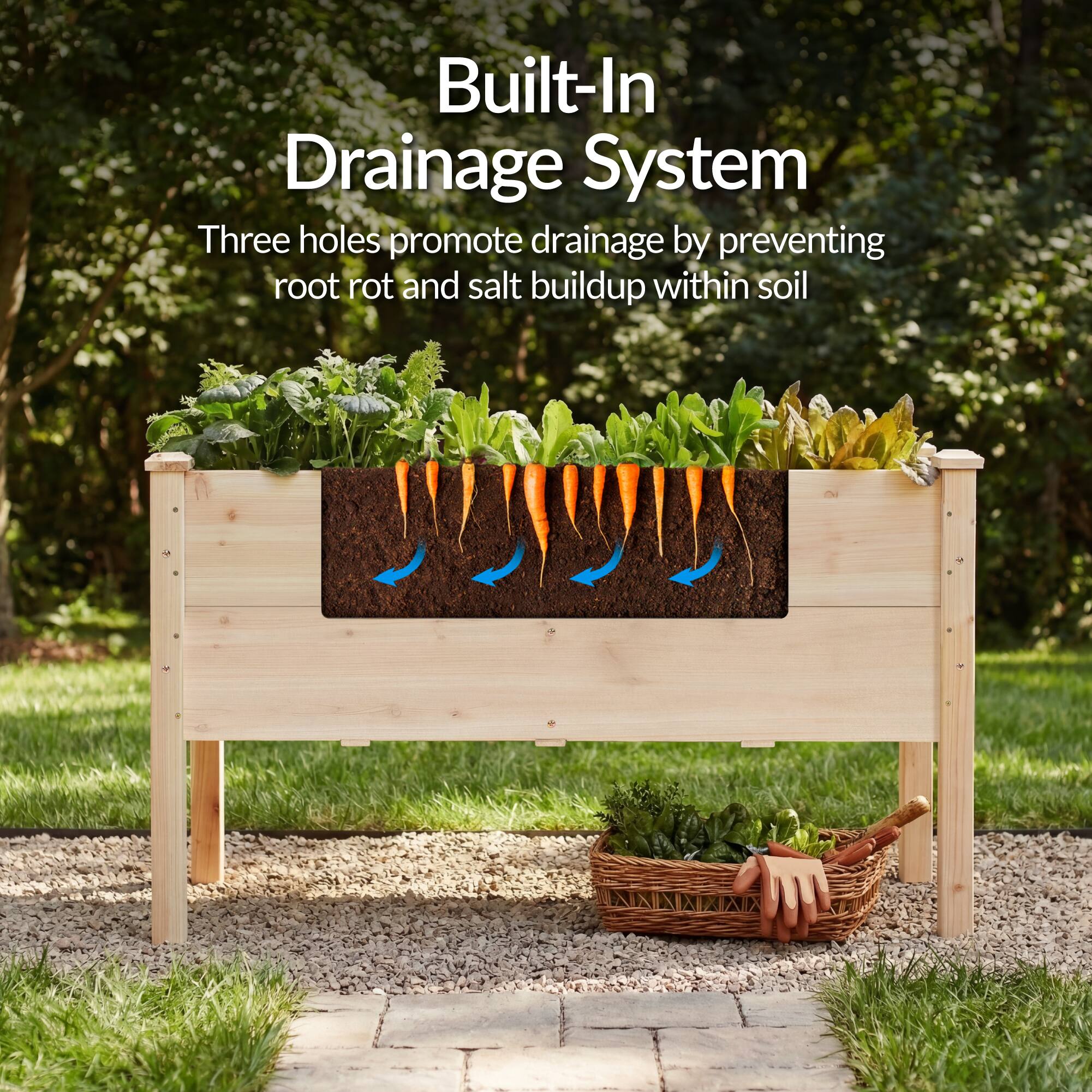 Built-In Drainage System  
Three holes promote drainage by preventing root rot and salt buildup within soil