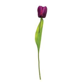 BreeBe - Tulip Stem 15.5" - Purple