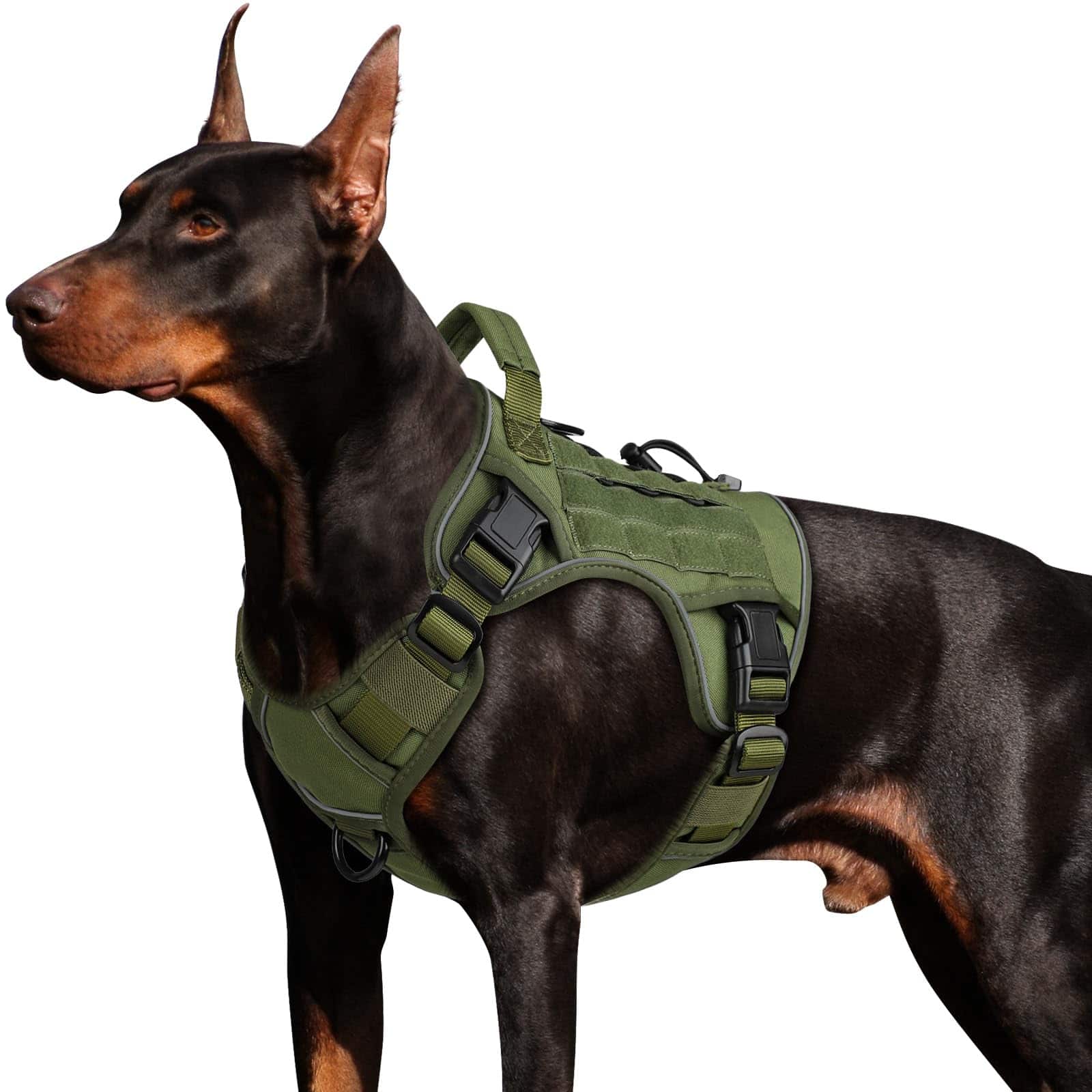 Paradigms Interiors - Dog Harness For Dogs No Pull With Handle Reflective K9 Shepherd Big Size Vest Walking - Green-XXL: 110-160 lbs (Chest:36-43",Neck:26-37")