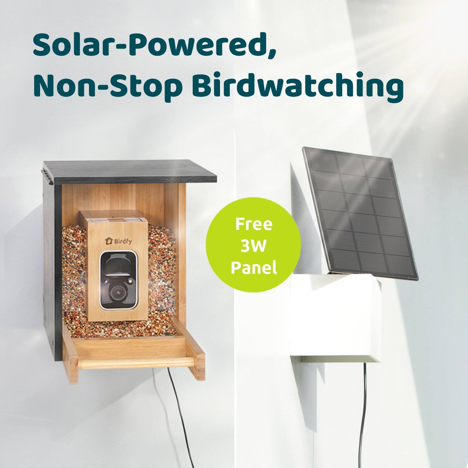 Solar-Powered, Non-Stop Birdwatching: Free 3W Panel
