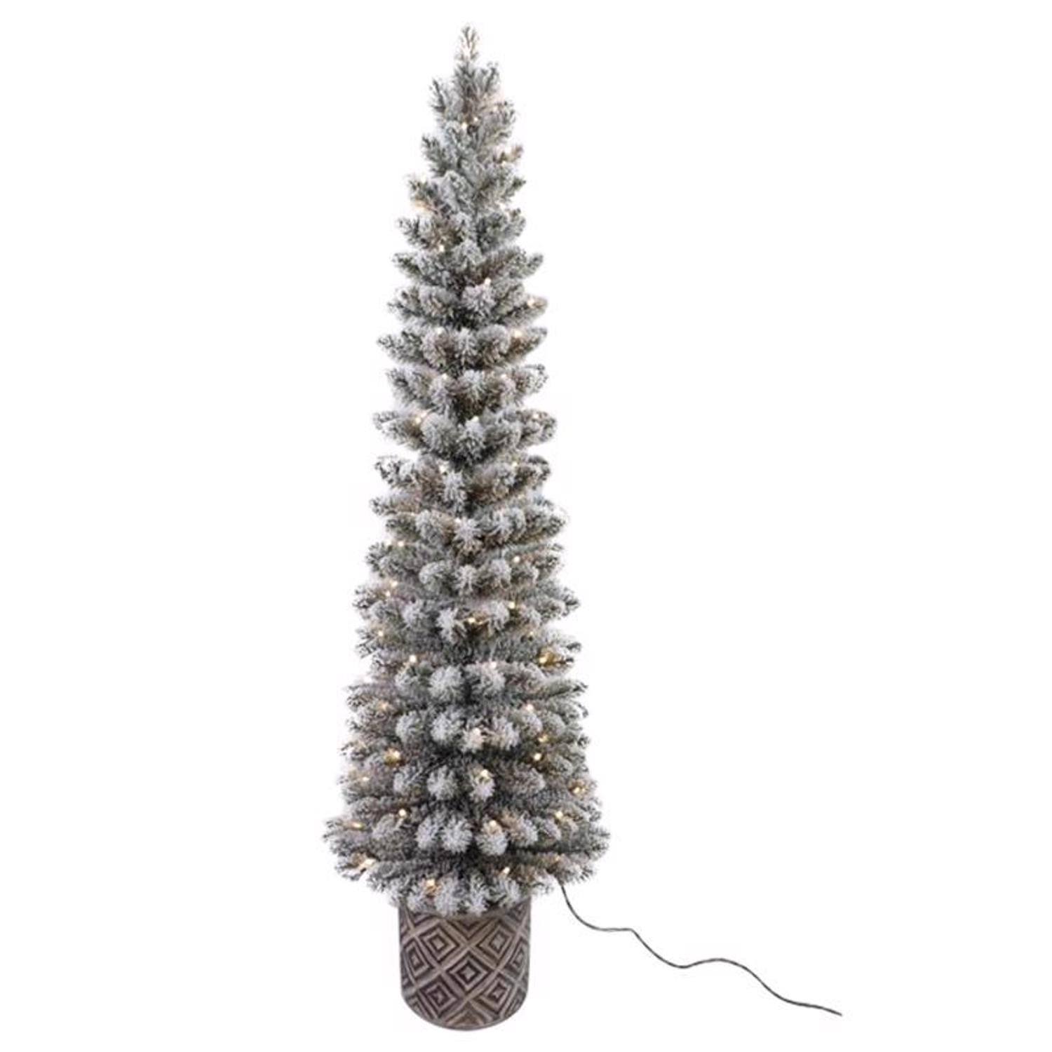 Celebrations - 5 ft. Slim LED 100 ct Flocked Diamond Potted Color Changing Entrance Tree - Green