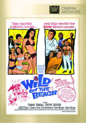 Front. Wild On The Beach - DVD.