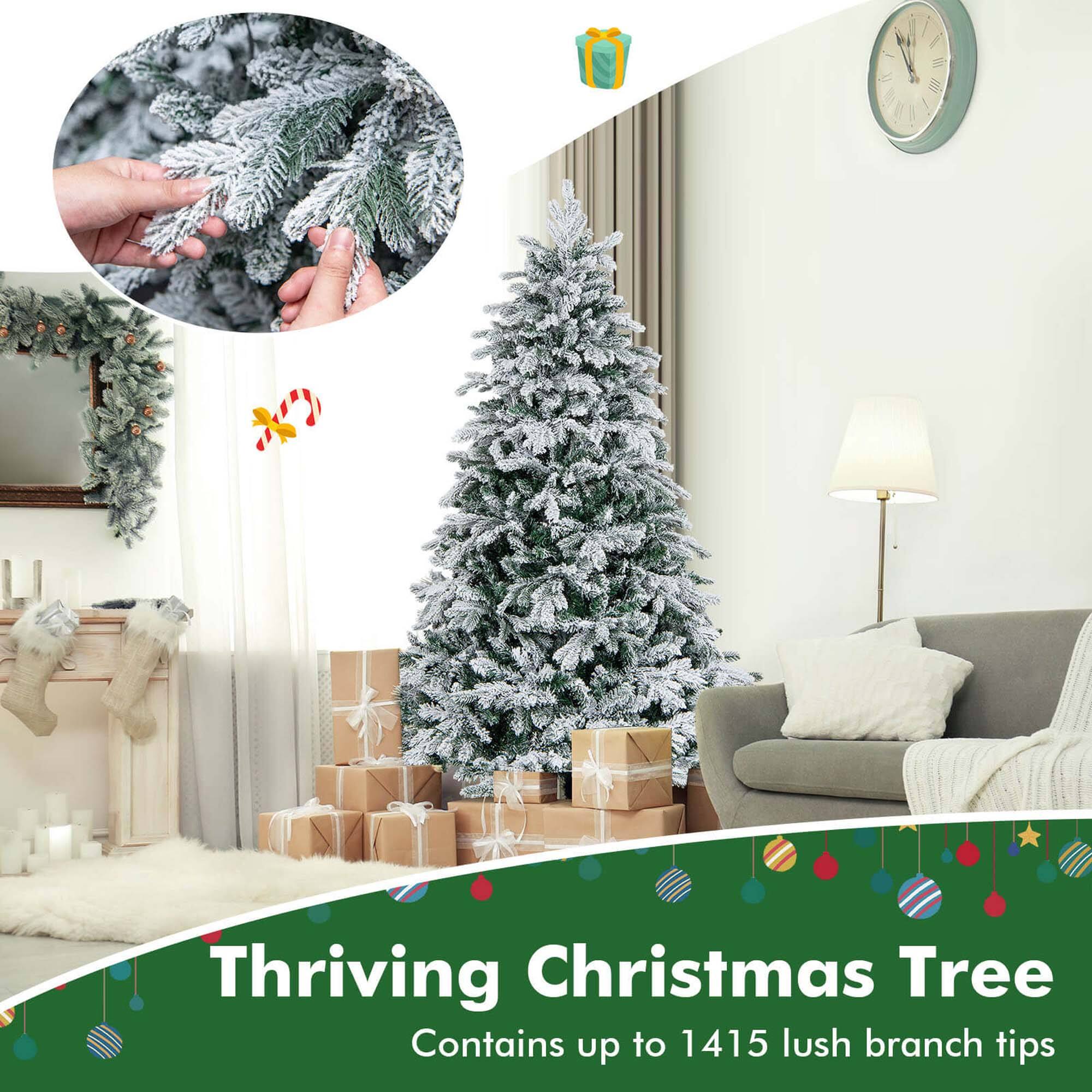 Thriving Christmas Tree Contains up to 1415 lush branch tips