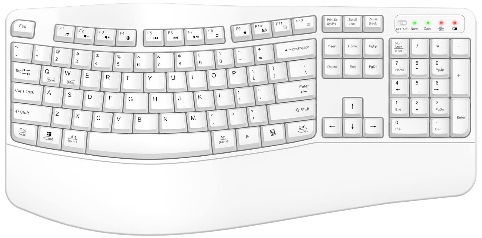 TECH SAFARI - Wireless With Wrist Rest Wave Keys Comfortable Typing Full Size Ergo Computer For Multi-os Windows Os Lapto - White