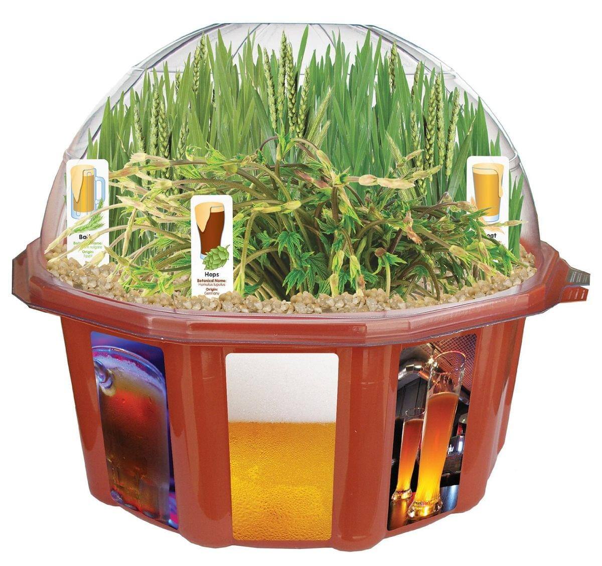 Beer As - run iod Origin Can
