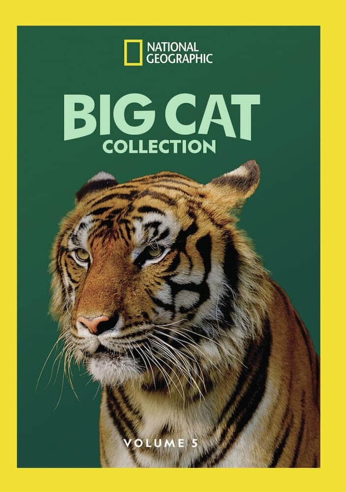 Big Cat Collection Vol 5 - DVD price history on PriceWatchPro