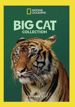 Big Cat Collection Vol 5 - DVD