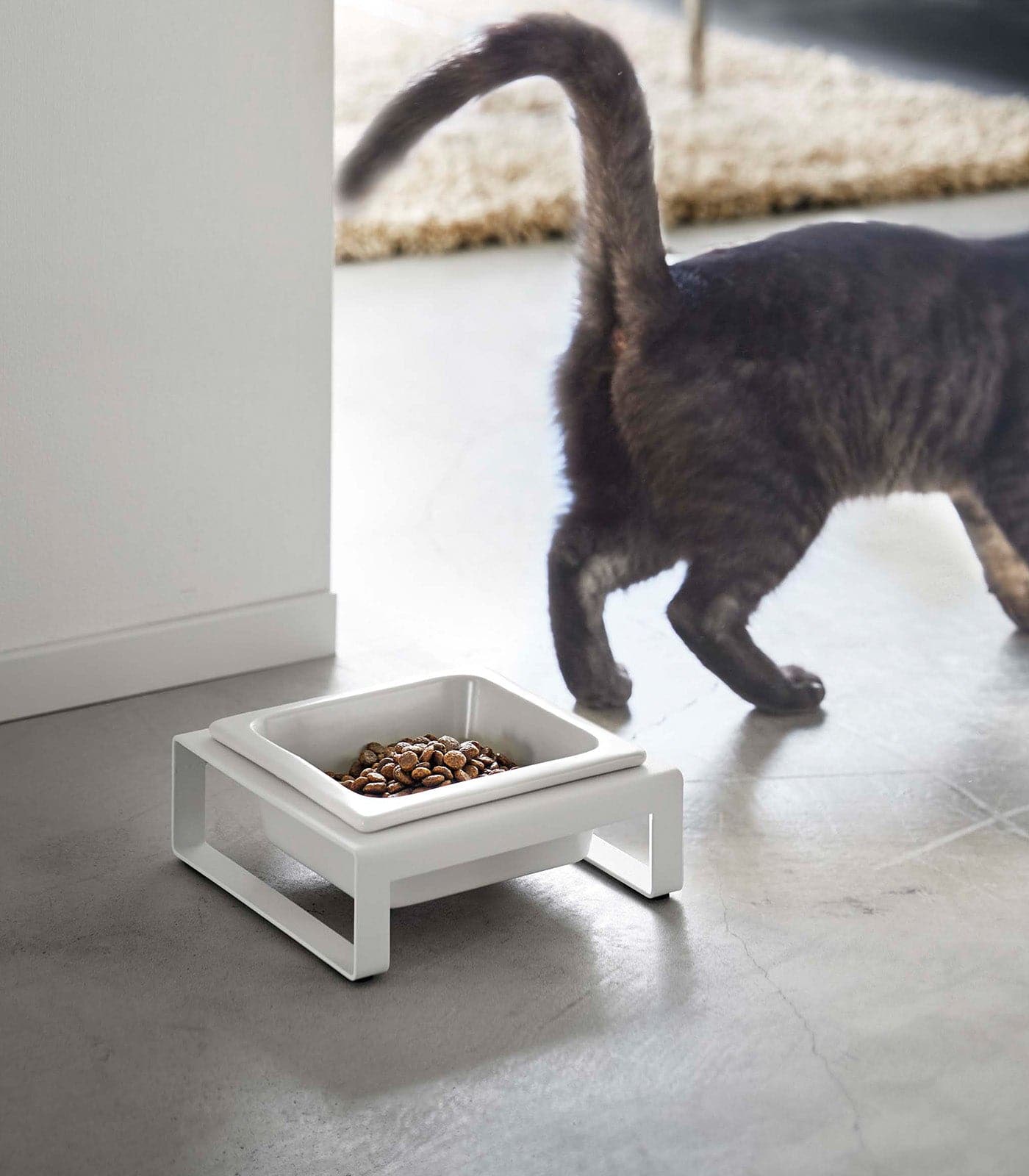 Yamazaki Home - Single Pet Food Bowl - Steel + Ceramic - White