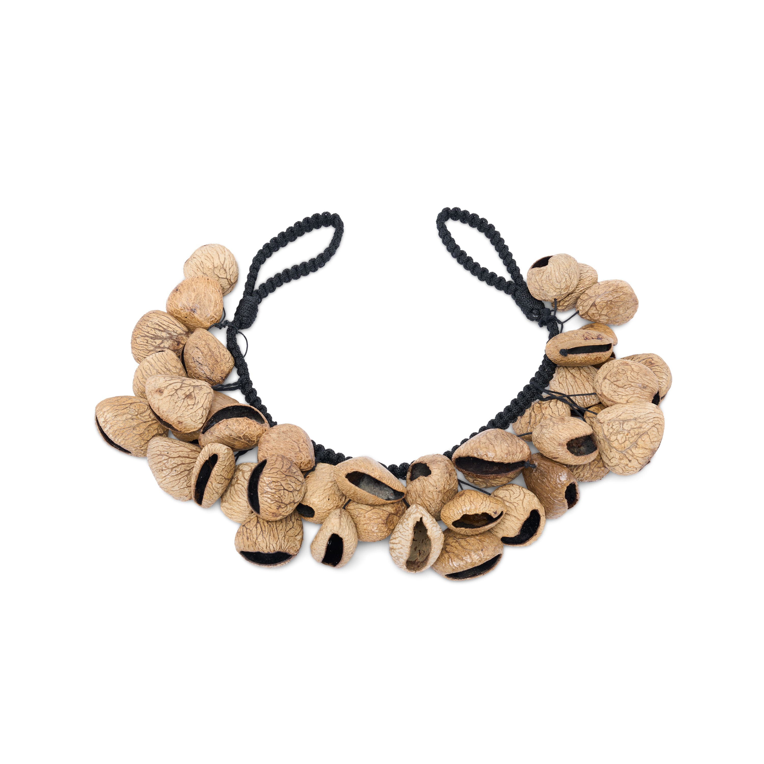 Latin Percussion - Pangi Nut Pod Waterfall Rattle price history on PriceWatchPro
