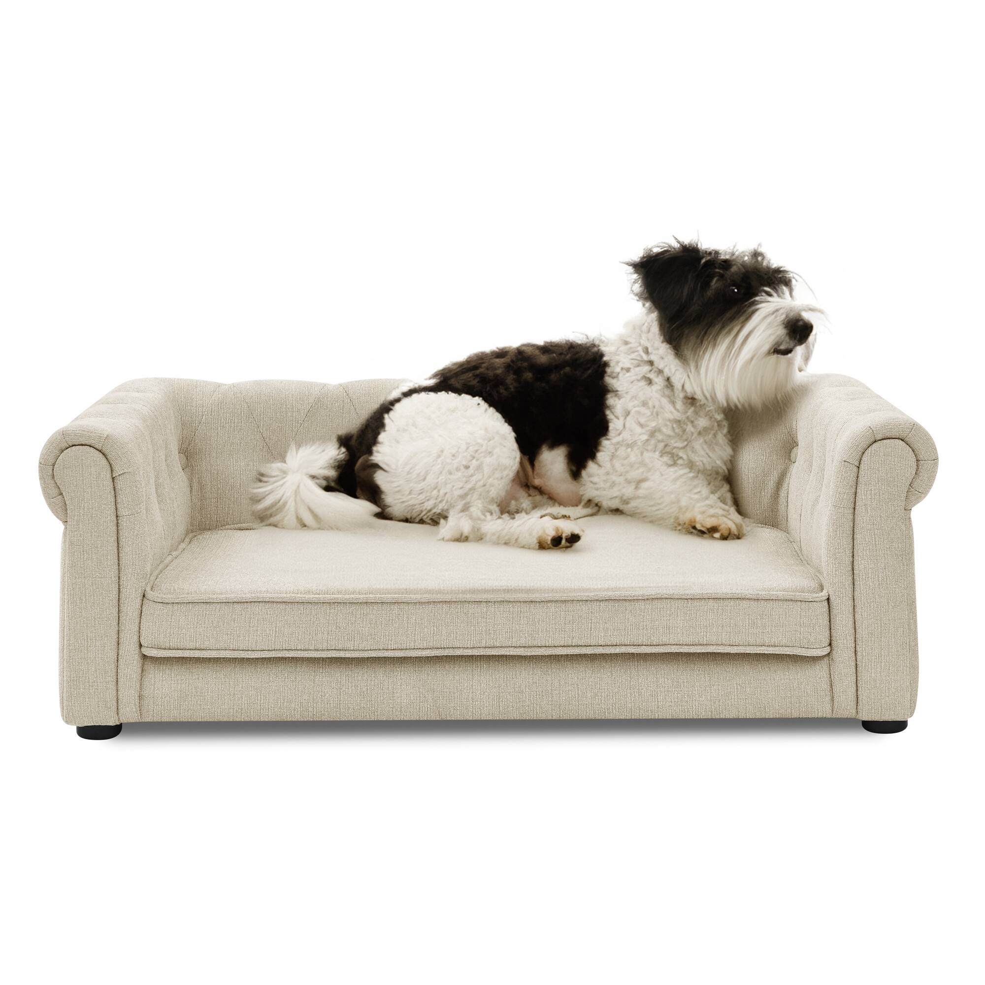 Alt View 5. Siljoy - Beige Rectangle Elevated Pet Sofa, Modern Durable Dog Couch for Small & Medium Dogs, Easy Clean - Beige.