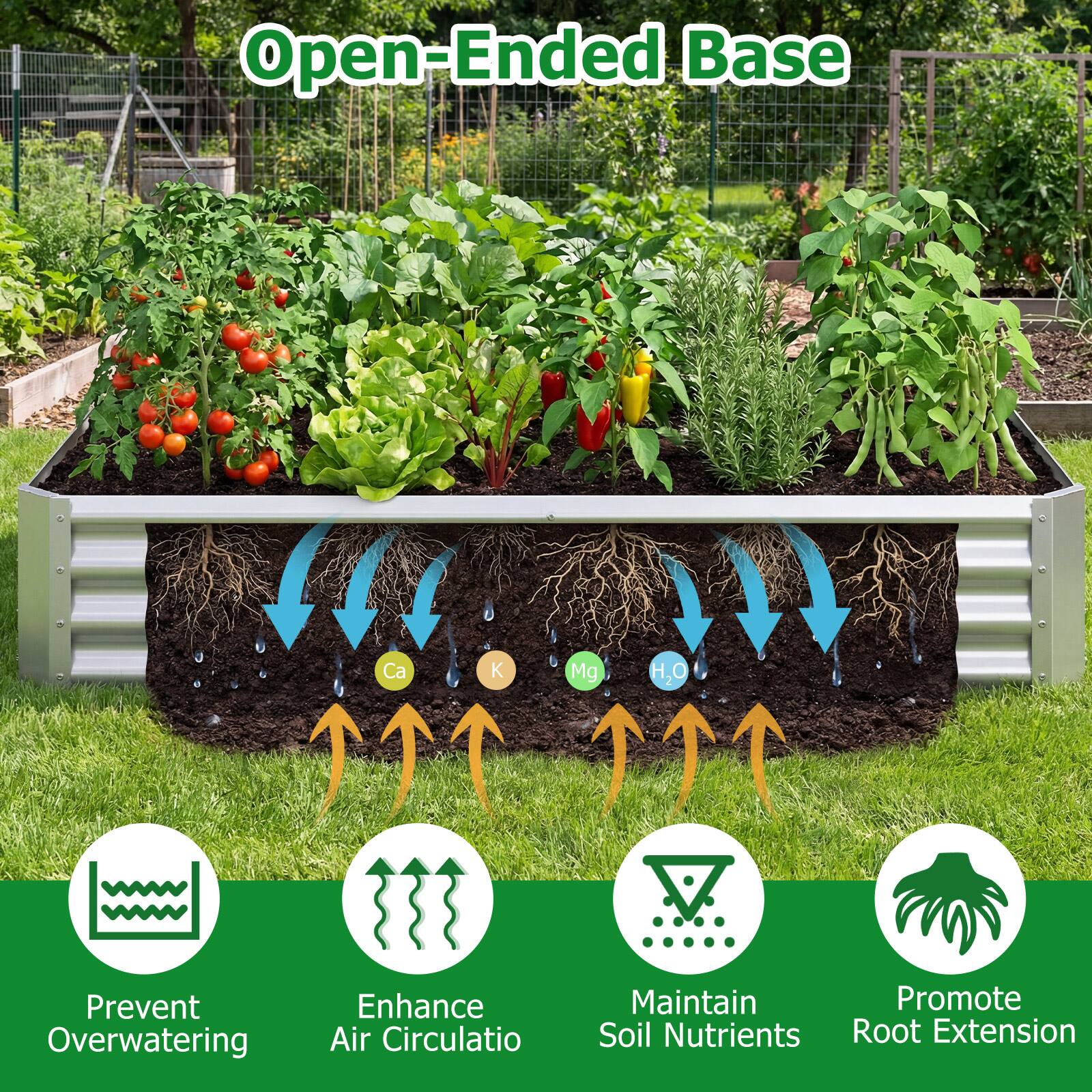 Open-Ended Base

- Prevent Overwatering
- Enhance Air Circulation
- Maintain Soil Nutrients
- Promote Root Extension