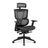 Front. FlexiSpot - C7 Mesh Seat Ergonomic Office Chair with Breathable Mesh Back, Adjustable Headrest, Lumbar Support & Swivel Desk Chair - Black.