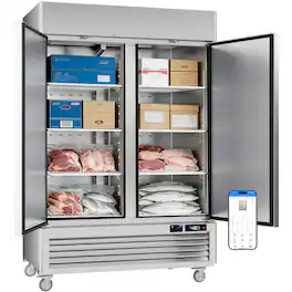 Veecool - 54.4" 49 cu.ft. WiFi Enabled App Control 2 Solid Door Commercial Upright Reach-In Freezer - Stainless Steel
