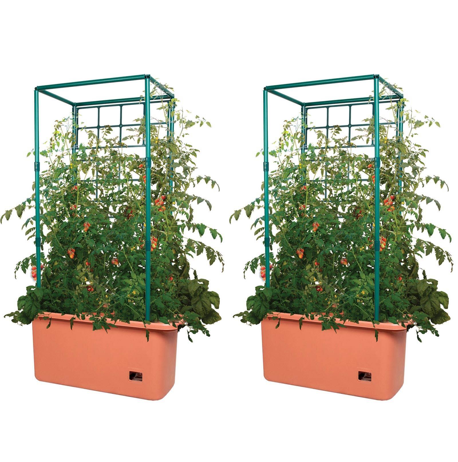 Front. Hydrofarm - Hydrofarm GCTR 10 Gal Tomato Trellis Self Watering Grow System (2 Pack) - Green.