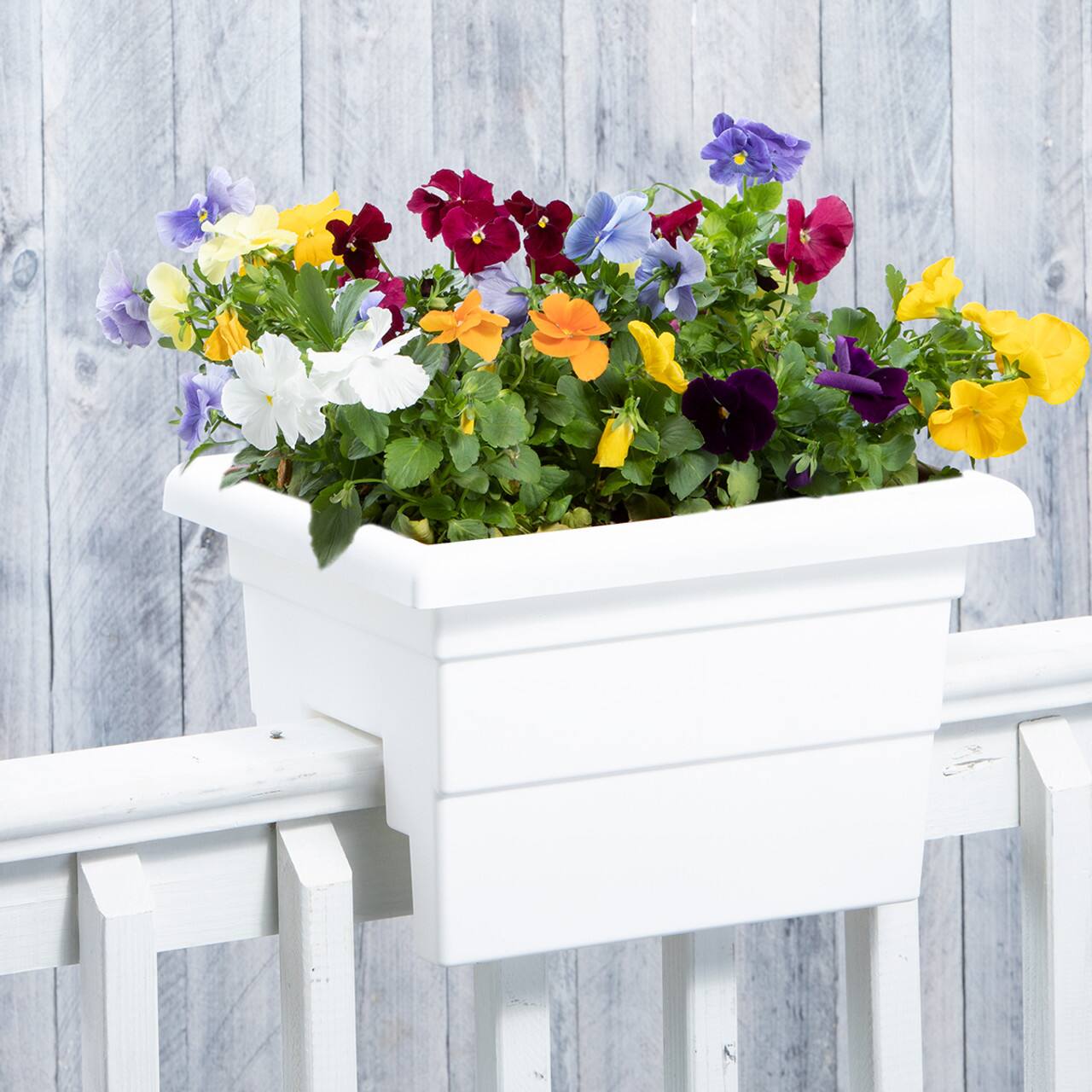Alt View 1. Root & Vessel - 16" Countryside Rail Planter for 3.5" or 5.5" Wide Railings - White.