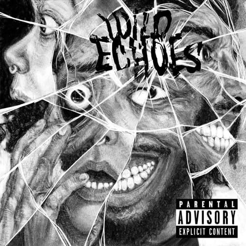 Wild Echoes [LP] [VINYL]