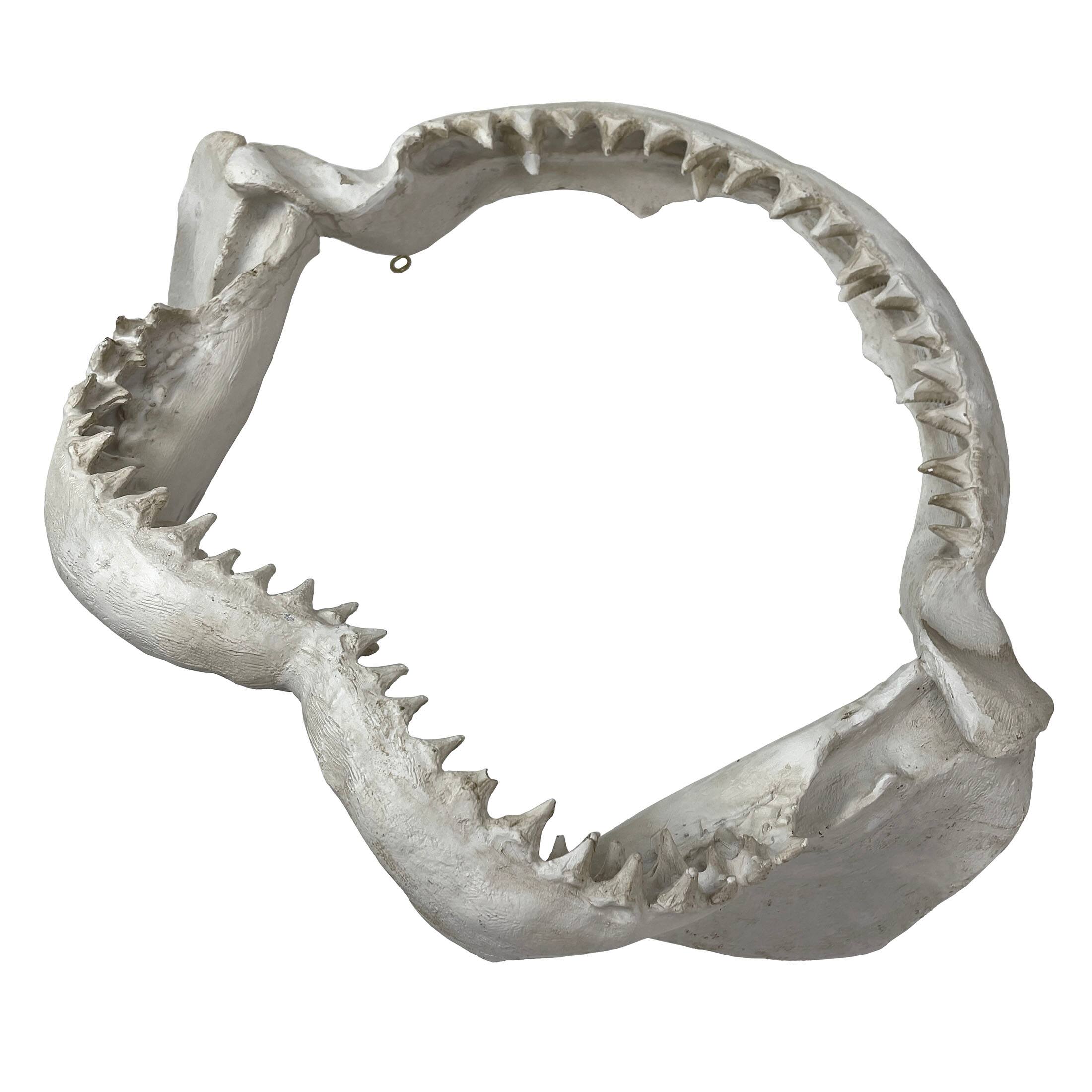 Alt View 7. Chesapeake Bay - Replica Shark Jaw Wall Sculpture Resin Coastal Nautical Decor 16" Off-White Art - Off-white.