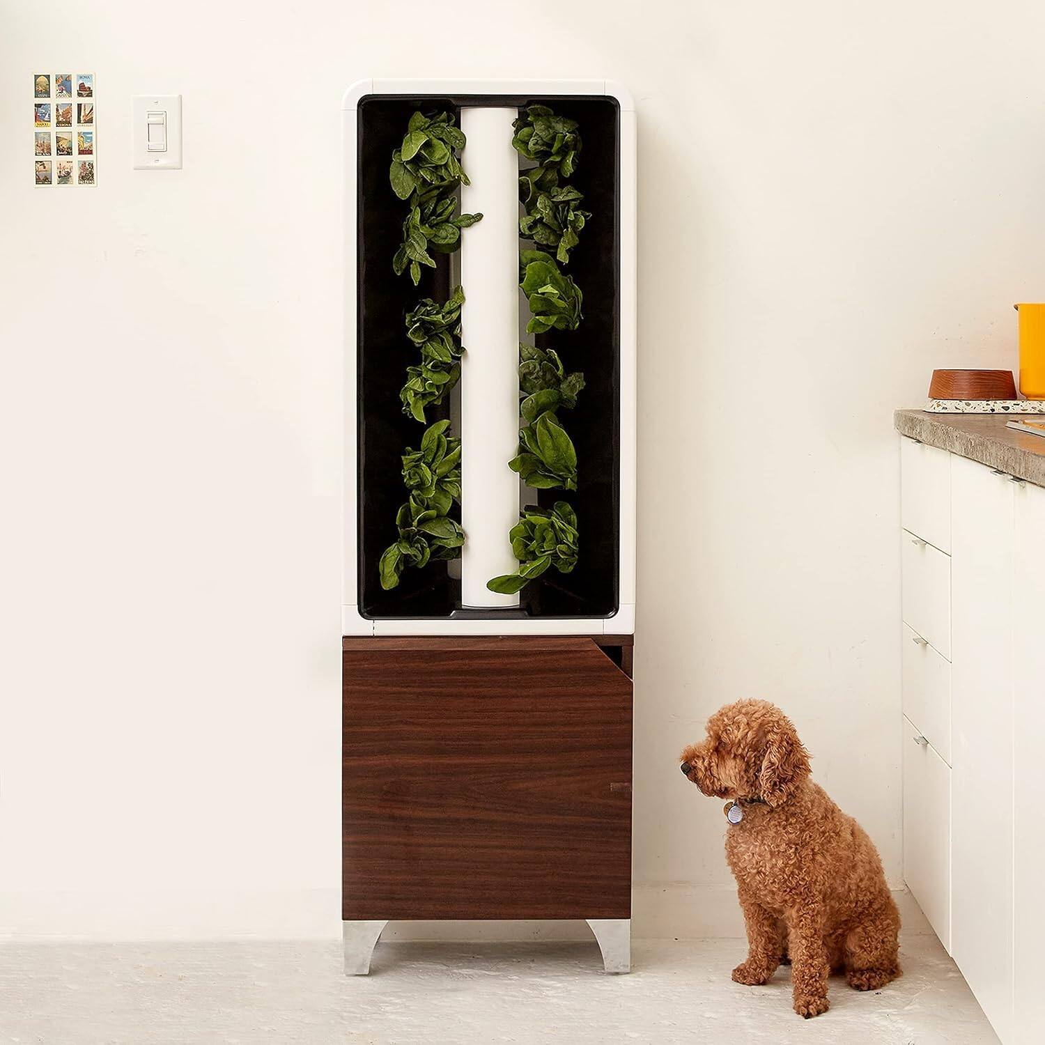 Alt View 9. Just Vertical - EVE Tower Garden | Hydroponic Growing System | Grow Fresh Herbs & Vegetables Year-Round | Fully Assembled - Walnut.