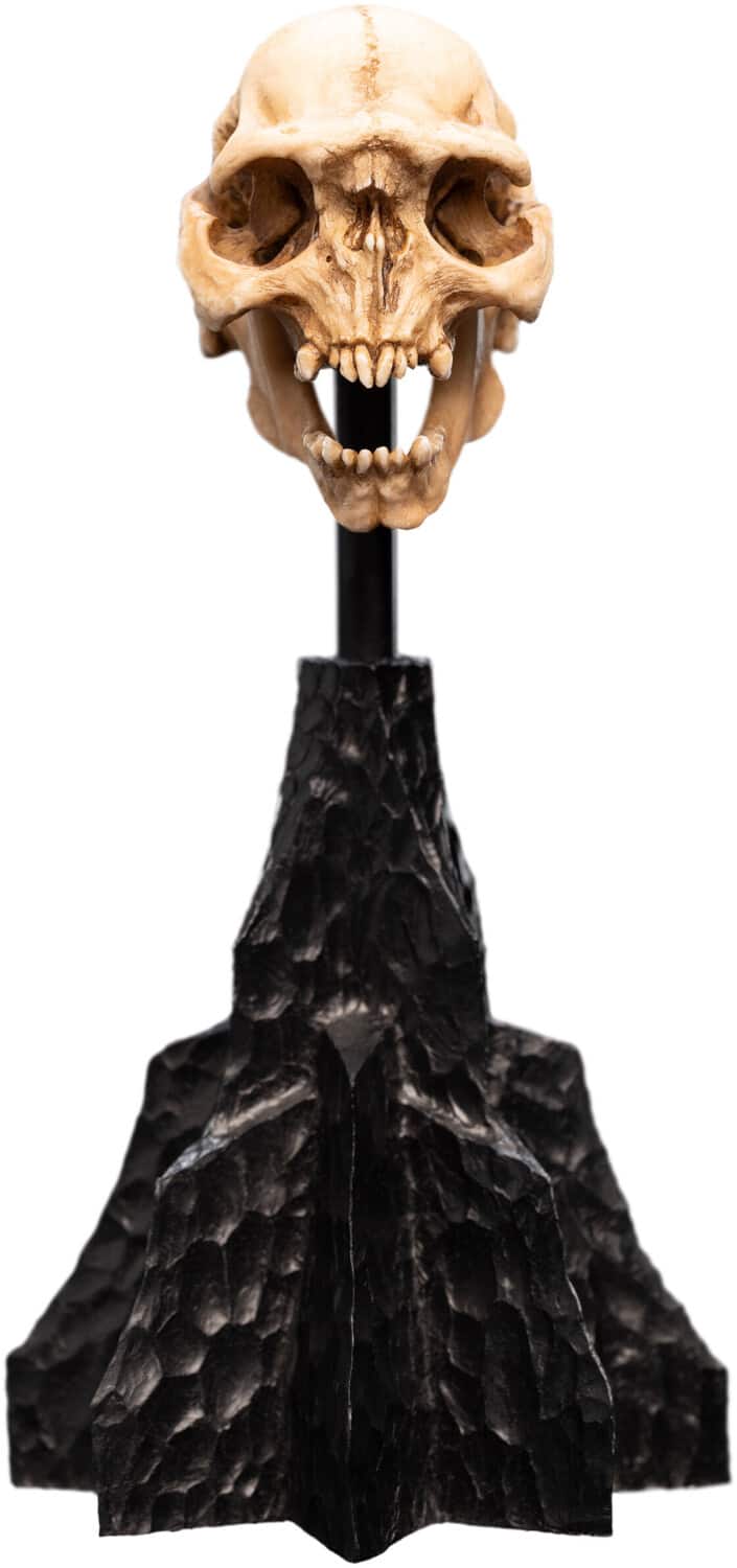 Weta Workshop - Polystone - The Lord of the Rings Trilogy - Skull of a Moria Orc Polystone Statue - COLLECTABLES - Multicolor
