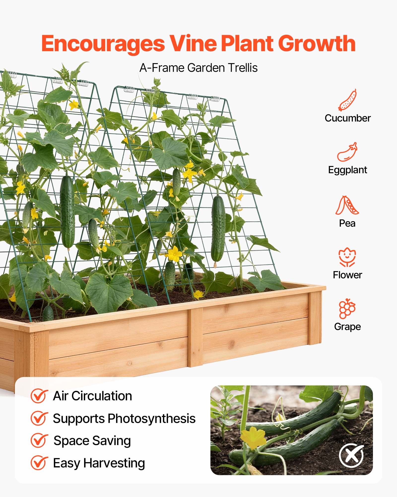 Encourages Vine Plant Growth  
A-Frame Garden Trellis  

Cucumber  
Eggplant  
Pea  
Flower  
Grape  

Air Circulation  
Supports Photosynthesis  
Space Saving  
Easy Harvesting