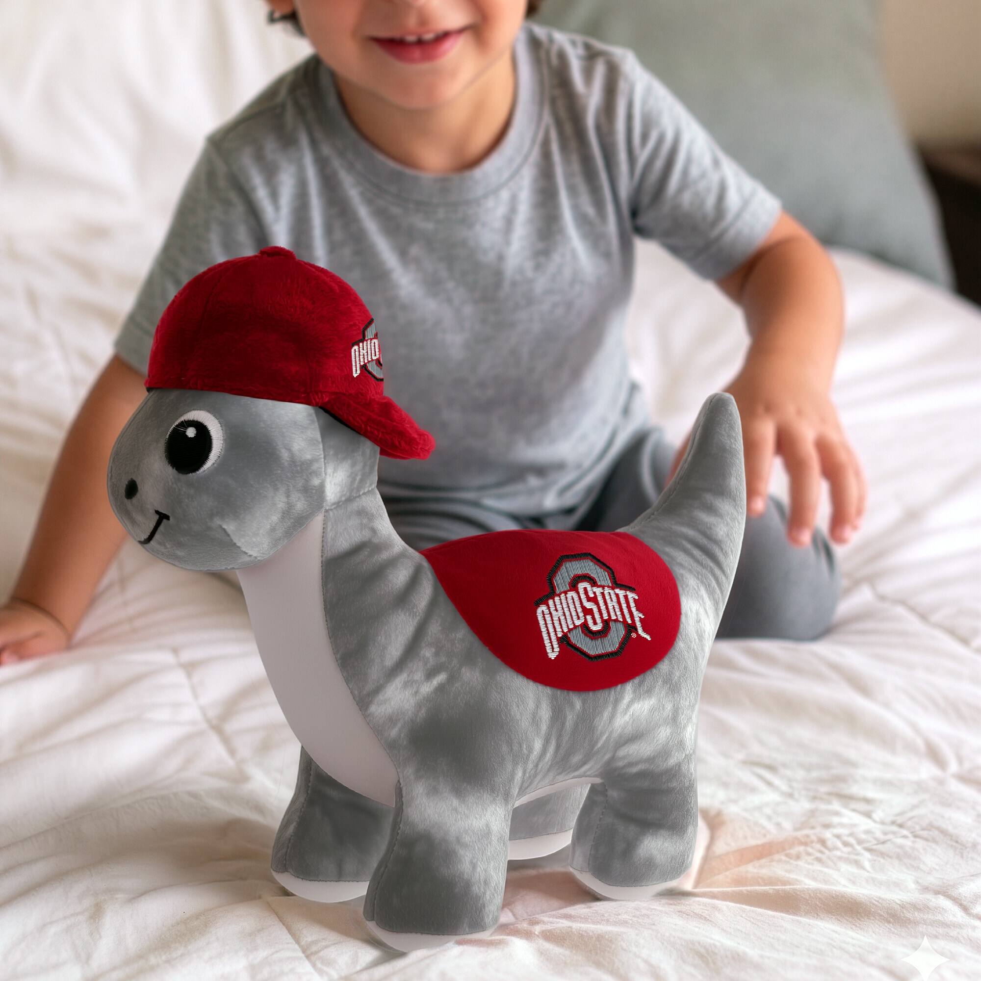 OHIO STATE