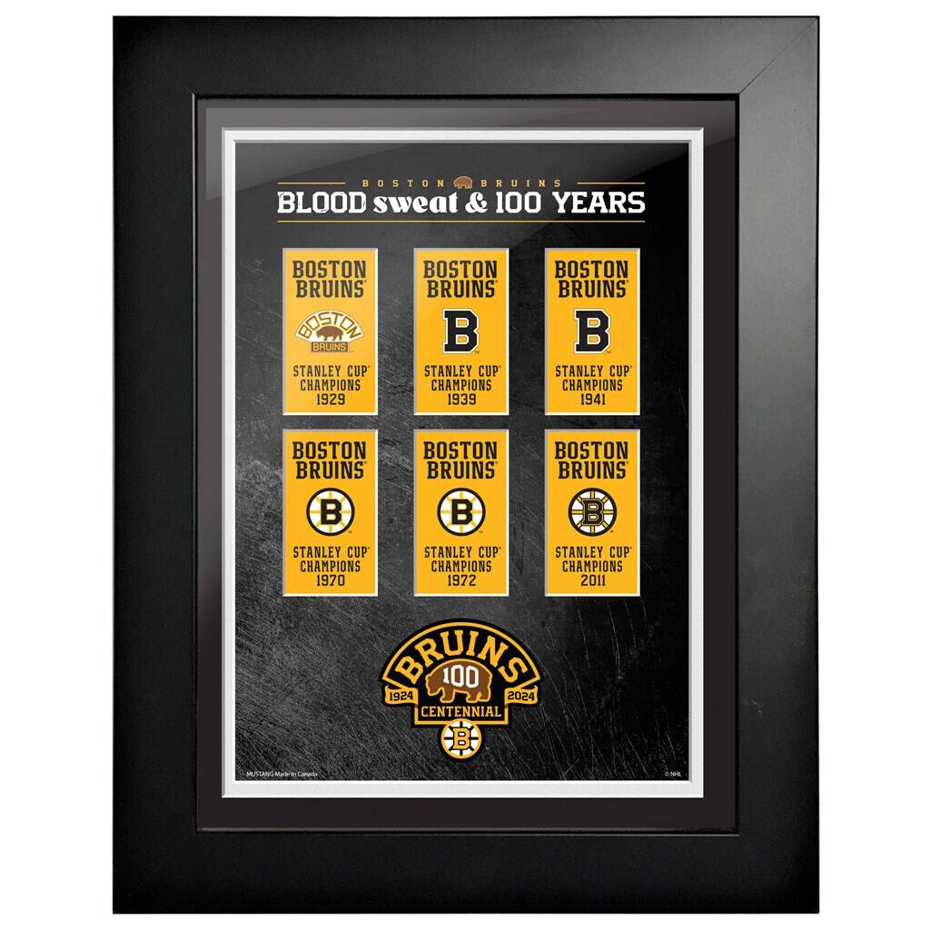 "Mustang Drinkware - Centennial 12"" x 16"" Banners Framed Print - Multicolor" price history on PriceWatchPro