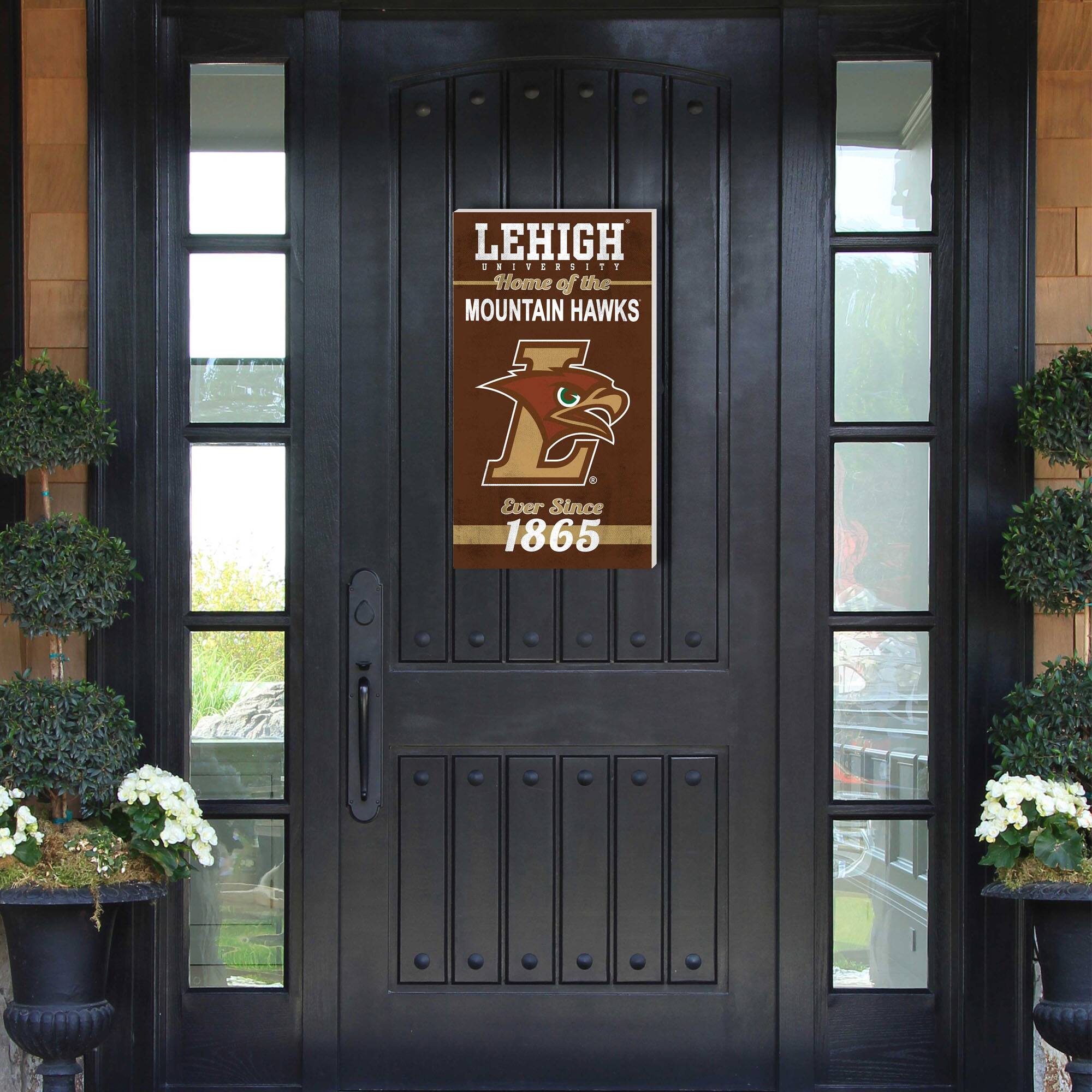 LEHIGH UNIVERSITY  
Home of the MOUNTAIN HAWKS  
Ever Since 1865