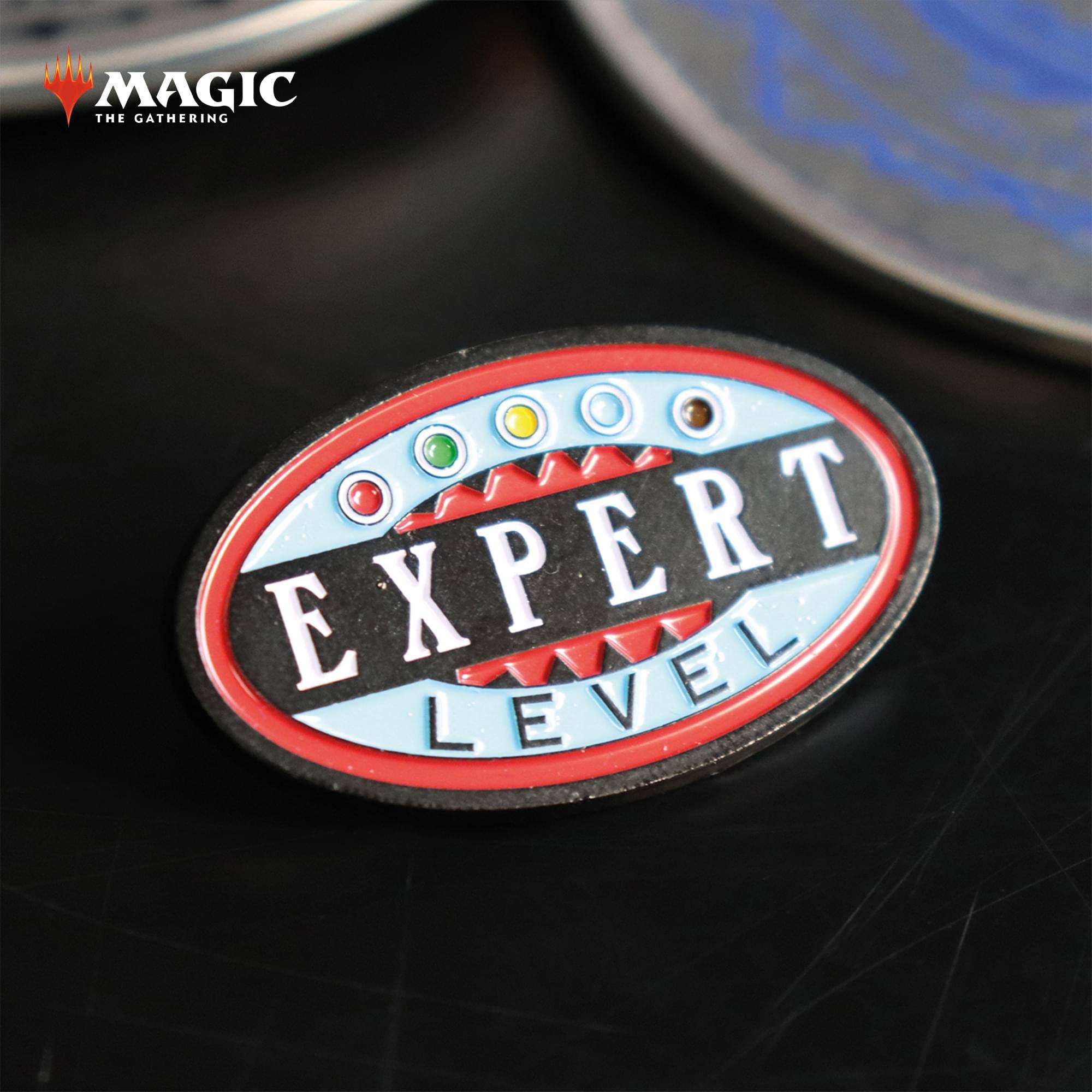 MAGIC THE GATHERING  
EXPERT LEVEL