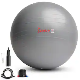 Sunny Health & Fitness - Premium Yoga Ball - Light Gray