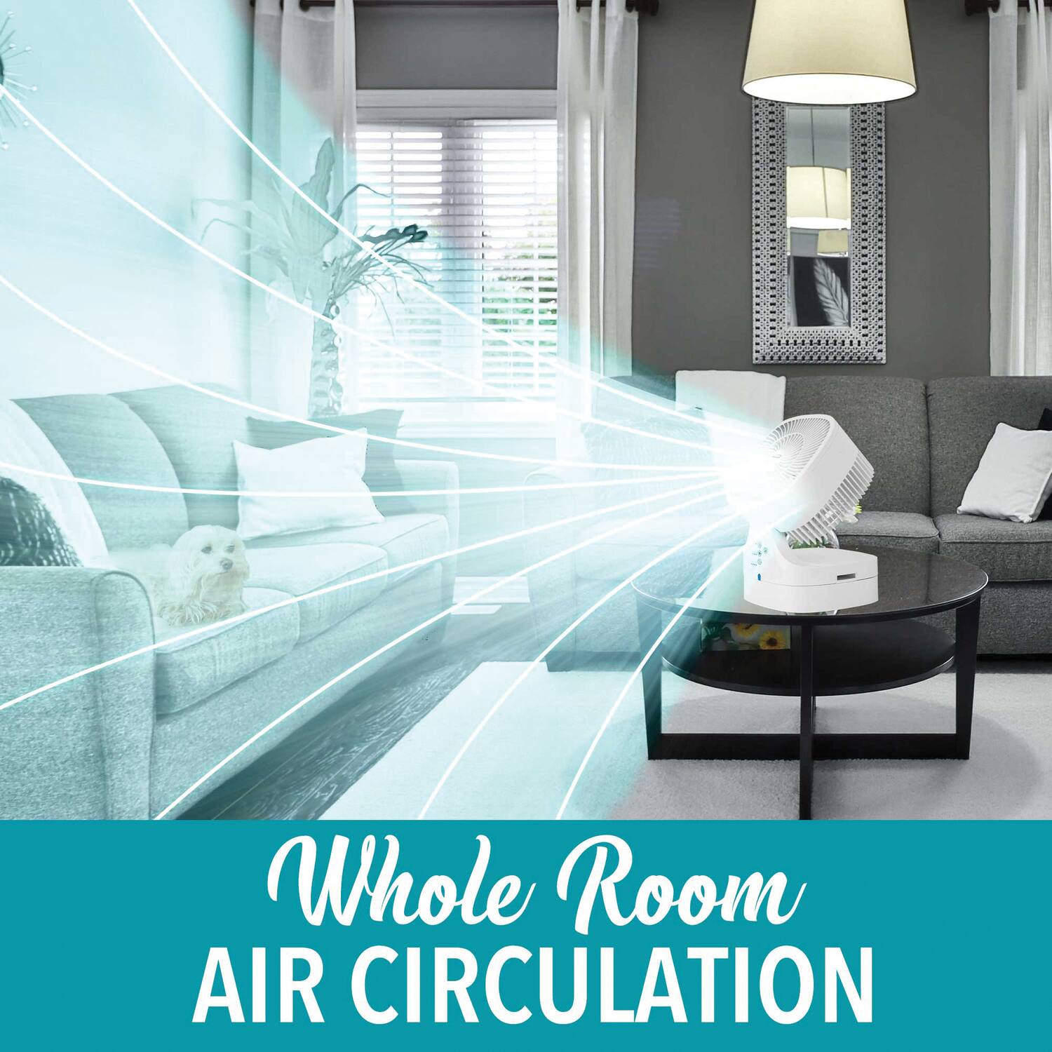 Whole Room  
AIR CIRCULATION