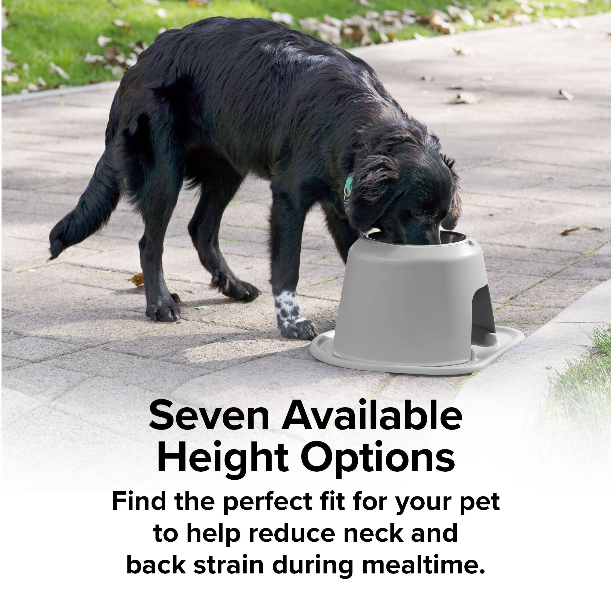 Seven Available Height Options  
Find the perfect fit for your pet to help reduce neck and back strain during mealtime.