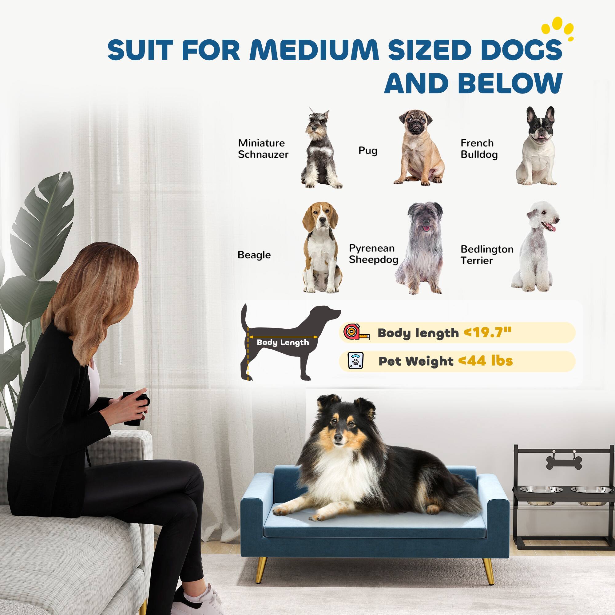 SUIT FOR MEDIUM SIZED DOGS AND BELOW

- Miniature Schnauzer
- Pug
- French Bulldog
- Beagle
- Pyrenean Sheepdog
- Bedlington Terrier

Body Length <19.7"
Pet Weight <44 lbs