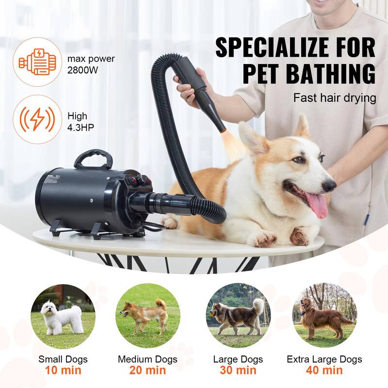 max power 2800W  
High 4.3HP  
SPECIALIZE FOR PET BATHING  
Fast hair drying  

Small Dogs 10 min  
Medium Dogs 20 min  
Large Dogs 30 min  
Extra Large Dogs 40 min
