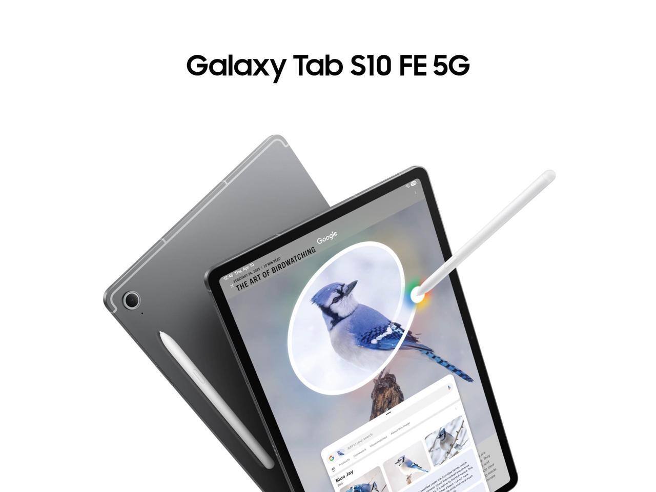 Galaxy Tab S10 FE 5G

Google

THE ART OF BIRDWATCHING

Blue Jay

THE ART OF BIRDWATCHING

THE ART OF BIRDWATCHING

THE ART OF BIRDWATCHING

THE ART OF BIRDWATCHING

THE ART OF BIRDWATCHING

THE ART OF BIRDWATCHING

THE ART OF BIRDWATCHING

THE ART OF BIRDWATCHING

THE ART OF BIRDWATCHING

THE ART OF BIRDWATCHING

THE ART OF BIRDWATCHING

THE ART OF BIRDWATCHING

THE ART OF BIRDWATCHING

THE ART OF BIRDWATCHING

THE ART OF BIRDWATCHING

THE ART OF BIRDWATCHING

THE ART OF BIRDWATCHING

THE ART OF BIRDWATCHING

THE ART OF BIRDWATCHING

THE ART OF BIRDWATCHING

THE ART OF BIRDWATCHING

THE ART OF BIRDWATCHING

THE ART OF BIRDWATCHING

THE ART OF BIRDWATCHING

THE ART OF BIRDWATCHING

THE ART OF BIRDWATCHING

THE ART OF BIRDWATCHING

THE ART OF BIRDWATCHING

THE ART OF BIRDWATCHING

