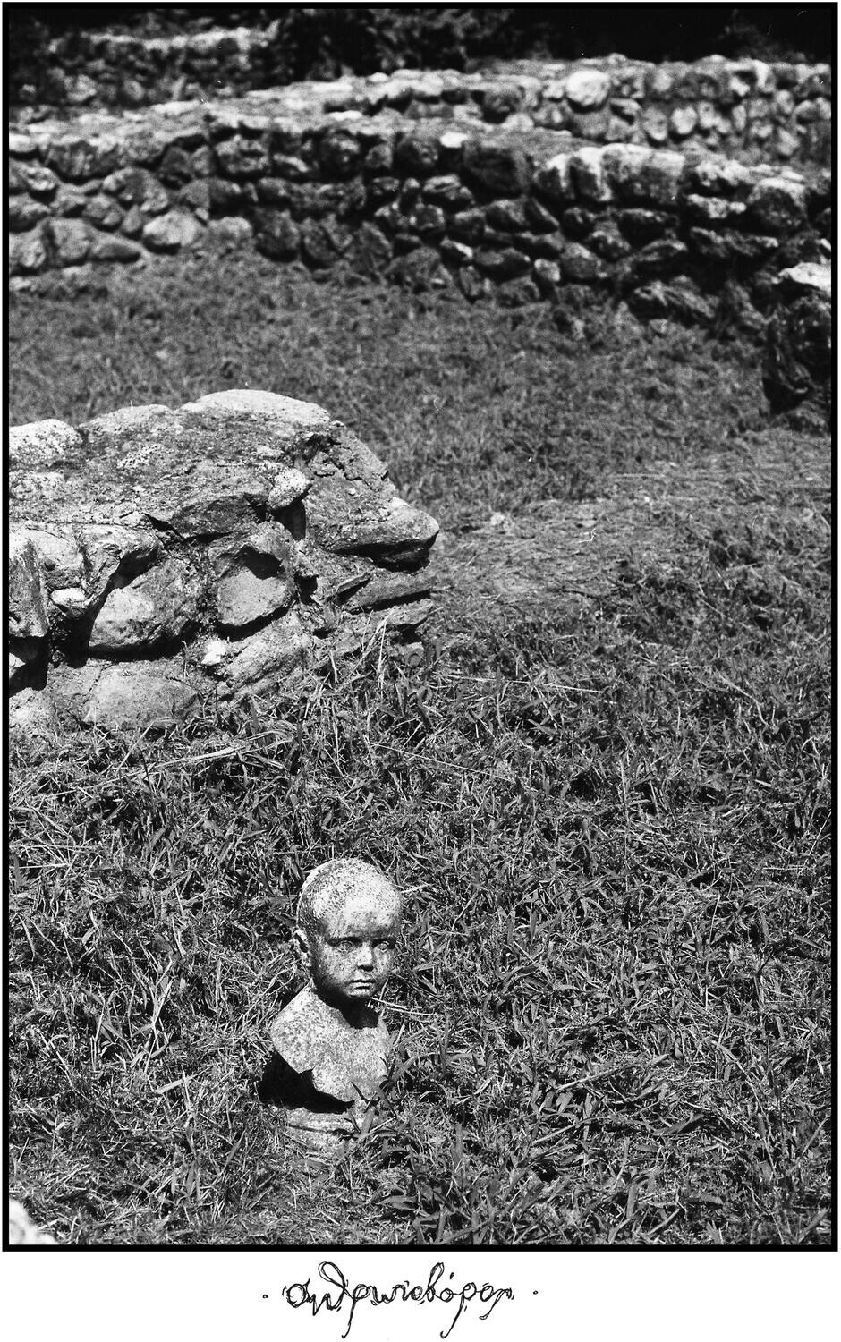 Front. Telma - Man-eater   - VINYL LP.