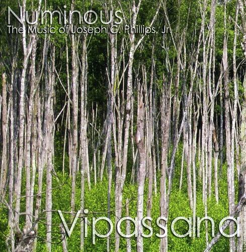 Numinous - Vipassana   - COMPACT DISCS [CD] price history on PriceWatchPro