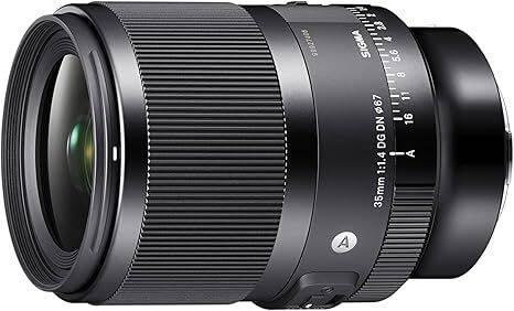 Sigma 35mm f/1.4 DG DN Art Lens for Sony E Mount Bundle with 2x
