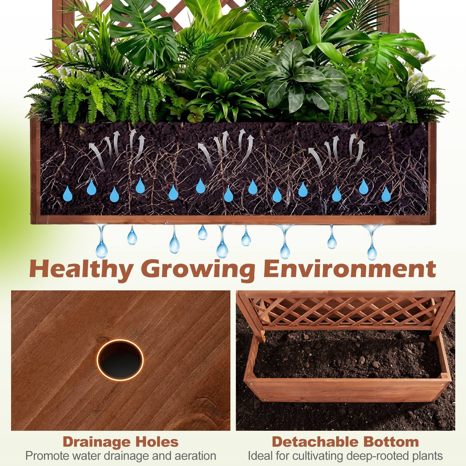 Healthy Growing Environment

Drainage Holes
Promote water drainage and aeration

Detachable Bottom
Ideal for cultivating deep-rooted plants