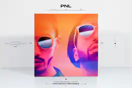 PNL - Dans La Legende - VINYL LP