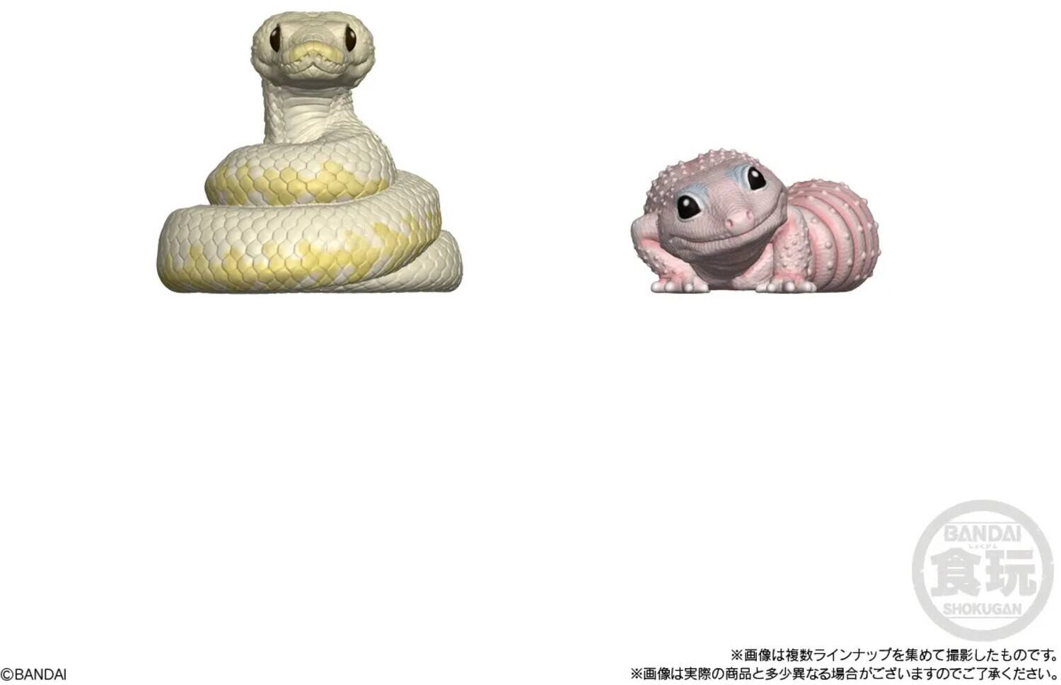 BANDAI  
SHOKUGAN  

BANDAI  
SHOKUGAN  

©BANDAI  

※画像は複数ラインナップを撮影したもので、※画像は複数ラインナップを撮影したもので、※画像は複数ラインナップを撮影したもので、※画像は複数ラインナップを撮影したもので、※画像は複数ラインナップを撮影したもので、※画像は複数ラインナップを撮影したもので、※画像は複数ラインナップを撮影したもので、※画像は複数ラインナップを撮影したもので、※画像は複数ラインナップを撮影したもので、※画像は複数ラインナップを撮影したもので、※画像は複数ラインナップを撮影したもので、※画像は複数ラインナップを撮影したもので、※画像は複数ラインナップを撮影したもので、※画像は複数ラインナップを撮影したもので、※画像は複数ラインナップを撮影したもので、※画像は複数ラインナップを撮影したもので、※画像は複数ラインナップを