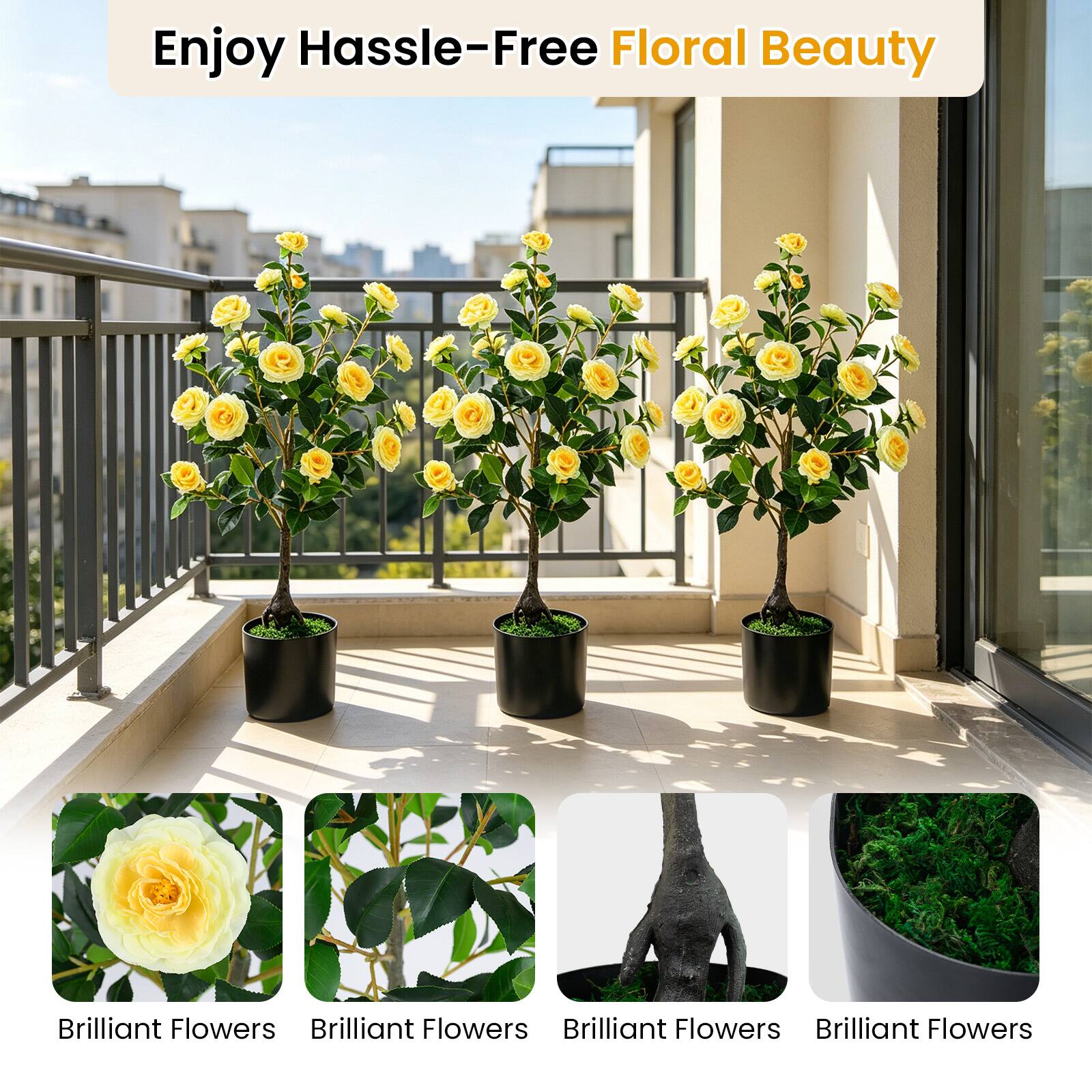Enjoy Hassle-Free Floral Beauty

Brilliant Flowers
